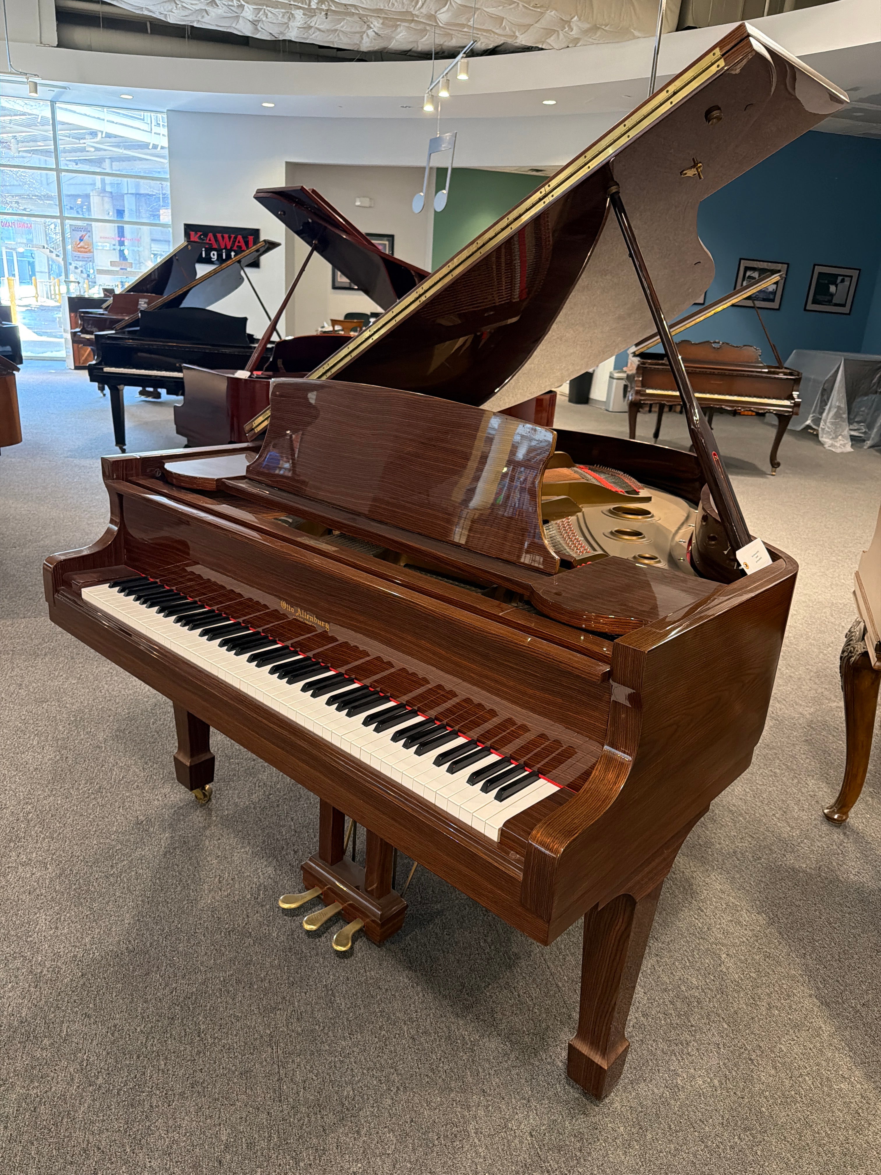 Otto Alternburg AO-509 #8710767