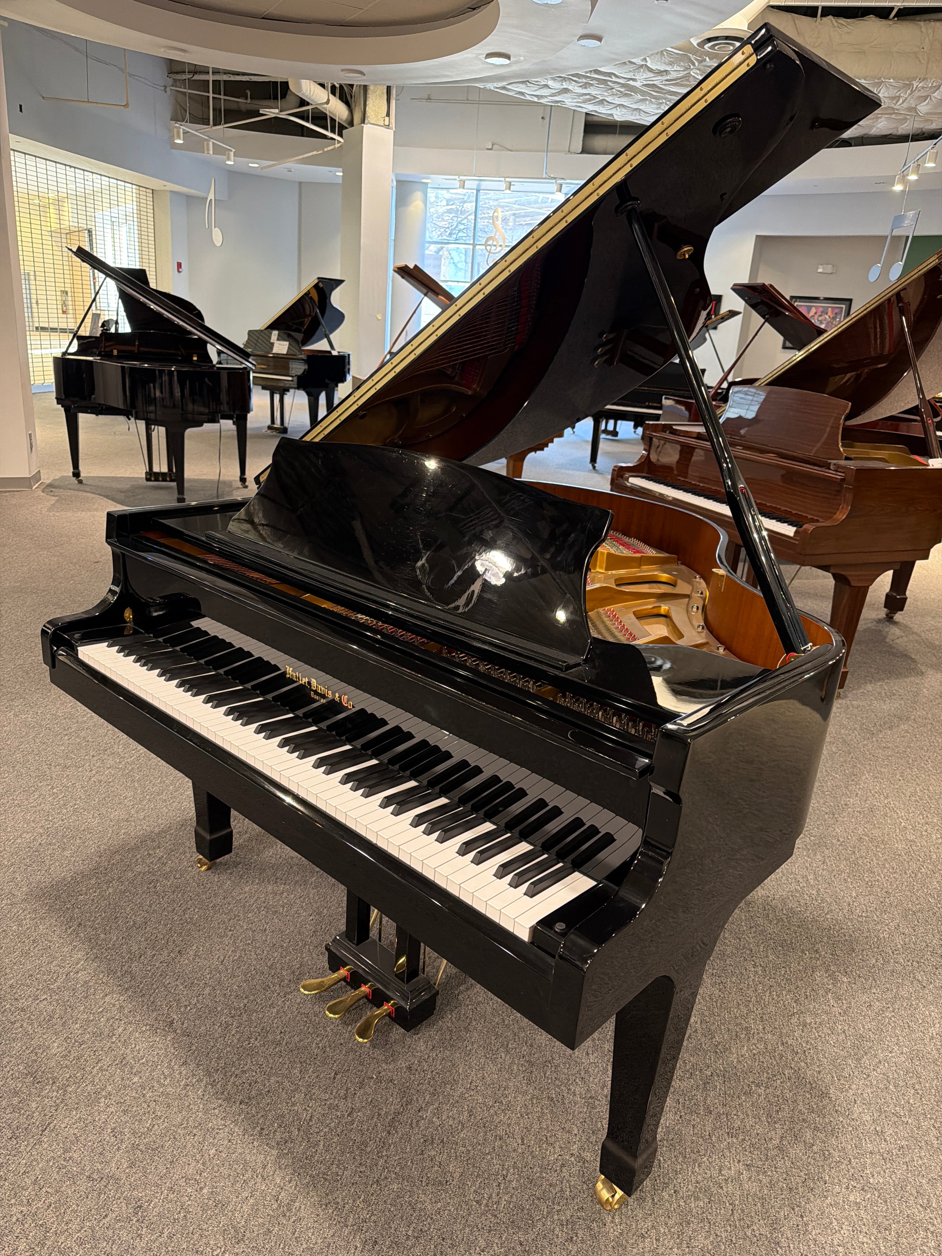 Hallet & Davis Baby Grand #DG14893