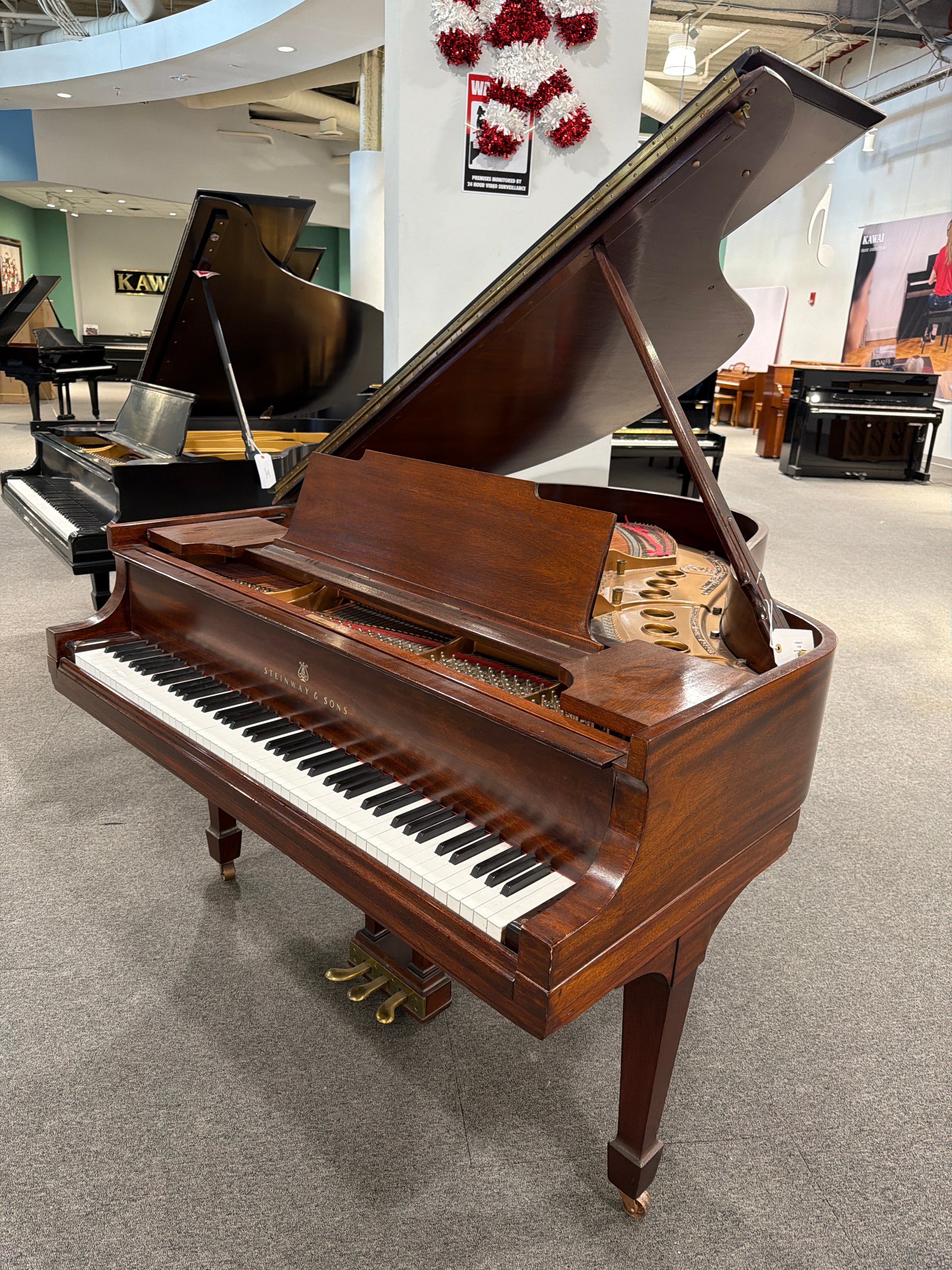 Steinway M #271442